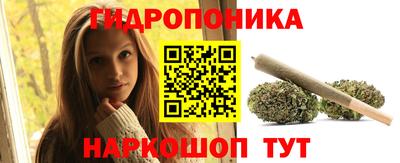 СК Лесосибирск