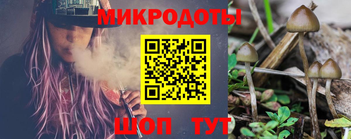Галлюциногенные грибы Cubensis  Вход с VPN  Ртищево  Псилоцибиновые грибы Psilocybine cubensis 