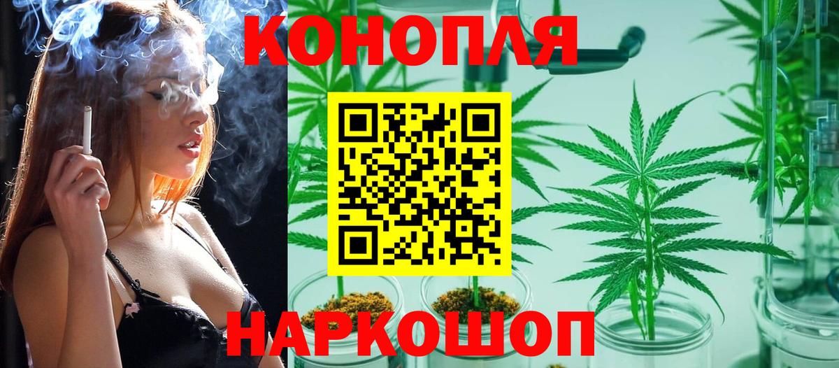 Марихуана план  Бошки марихуана White Widow  МАРИХУАНА ГИДРОПОН  Канабис Ganja  Вход с VPN  Ртищево 